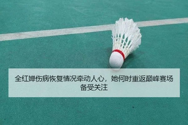 全红婵伤病恢复情况牵动人心，她何时重返巅峰赛场备受关注